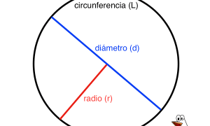 perimetro del circulo